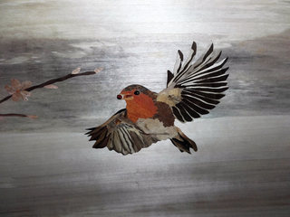 détail d’un rouge-gorge marqueté